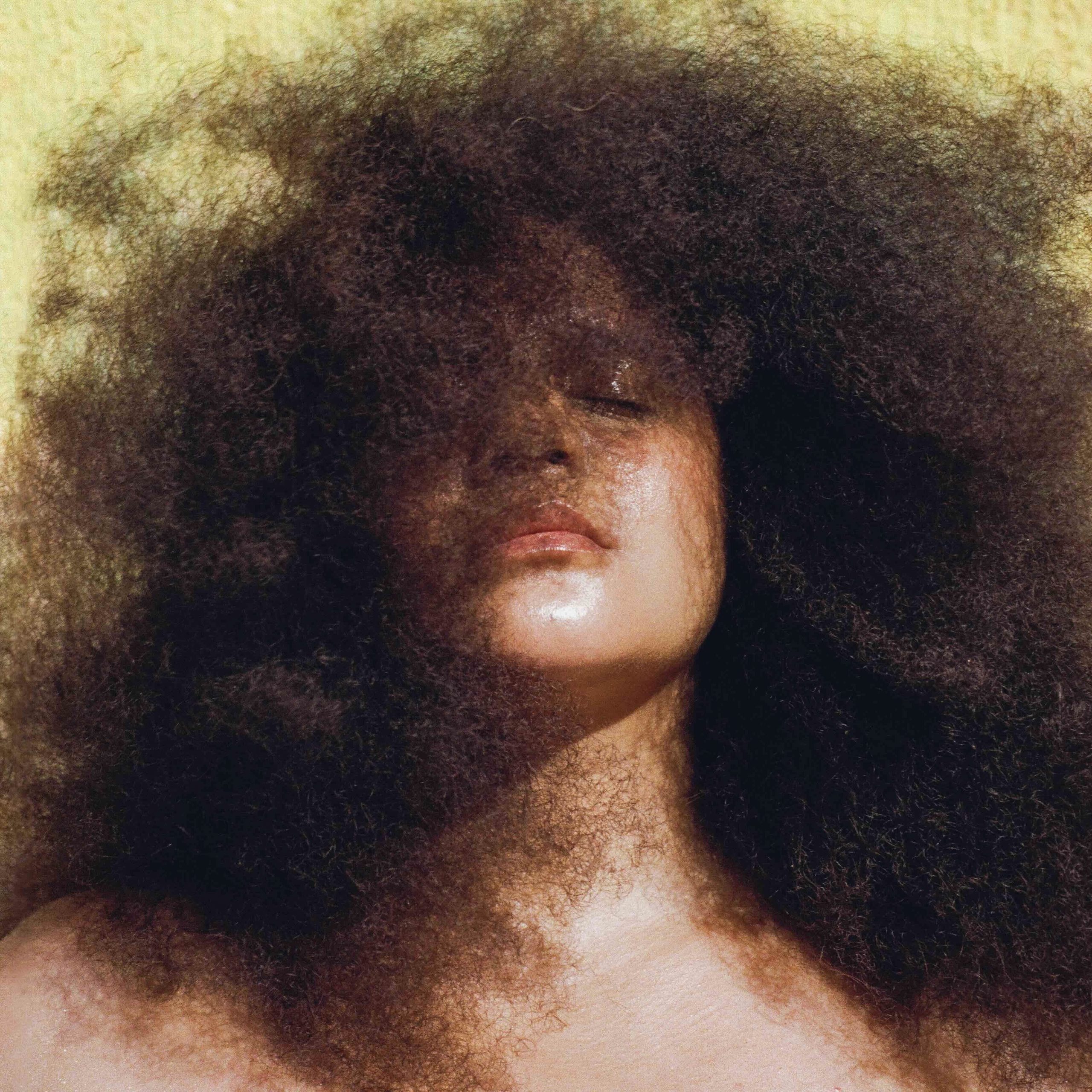 LIDO PIMIENTA